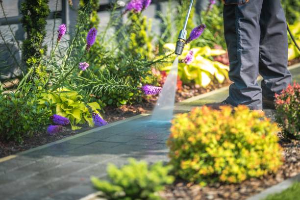 East Hills, NY Pressure Washing Services Company